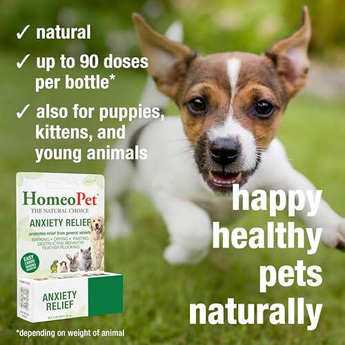 Homeopet Anxiety Relief Medicine For Pets Natural Anxiety Relief For Dogs And 15 Milliliters