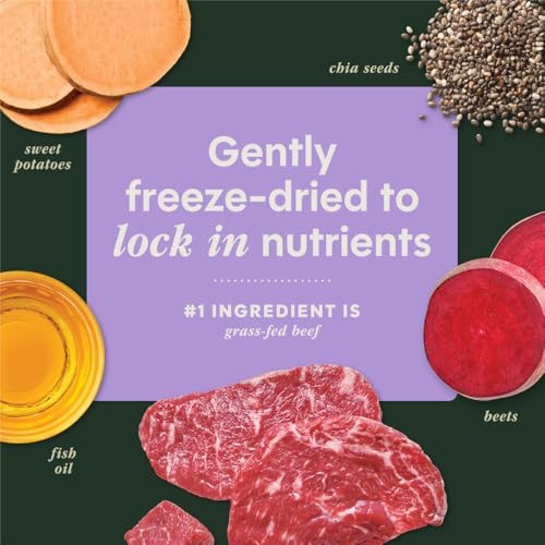 Instinct Rawboost Functional Mixers Freeze Dried Dog Food Topper GrainFree Real Beef 5.5 Oz