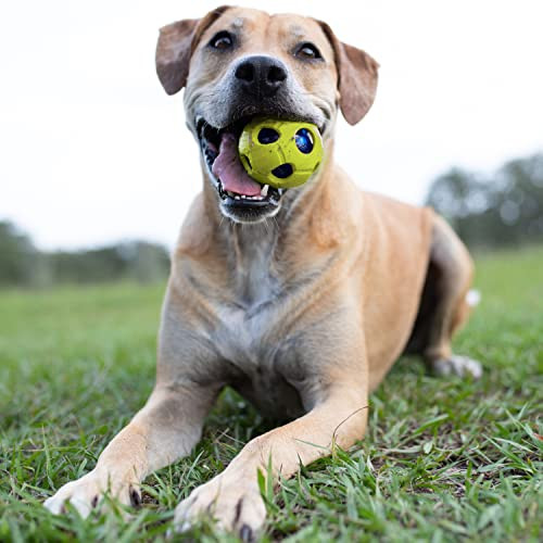 Nerf Dog Bash Ball Dog Toy With Interactive Led Lightweight Durable And Water 3.5 Inches