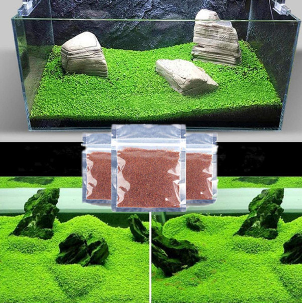 Misuhalou Aquarium GRASS PLANT 3 Pack 3 Pack