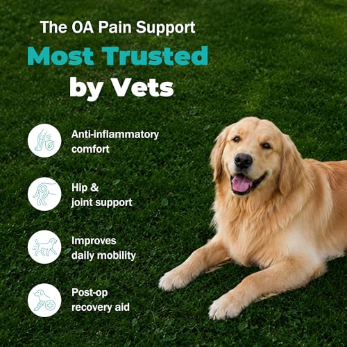 Medivexrx Dog Pain Relief Joint Support & Mobility For Senior Dogs Powerful 60 Tablets