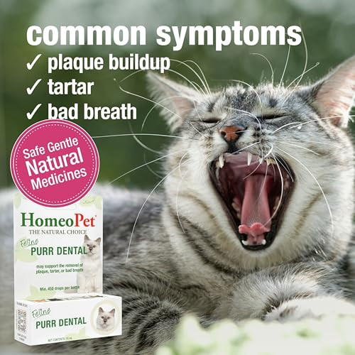 Homeopet Feline Purr Dental Safe And Natural Tooth And Dental Care For 15 Milliliters