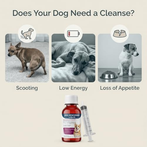 Morvequa Liquid Dog Dewormer For Dogs & Puppies Formula 7 Pyrantel Pamoate 3Ml