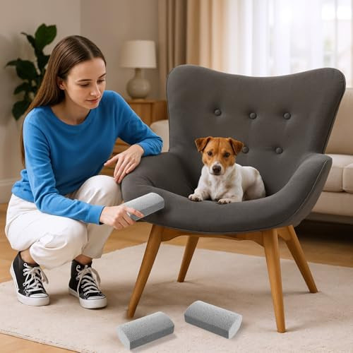 Innohhustle 2 Pcs Pet Hair Block Pet Hair Remover Grey Pumice Stone