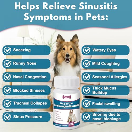 Netrca Dog And Cat Nasal Congestion Relief Helps Relieve Sneezing Trachea Runny 200 Ct