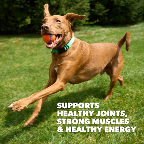 Iams Proactive Health High Protein Dry Dog Food With Chicken & Beef 15 Lb