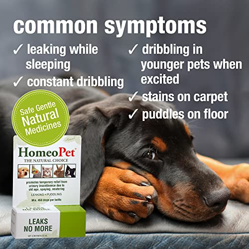 Homeopet Leaks No More Safe Gentle And Natural Supplement For Cat And 15 Milliliters