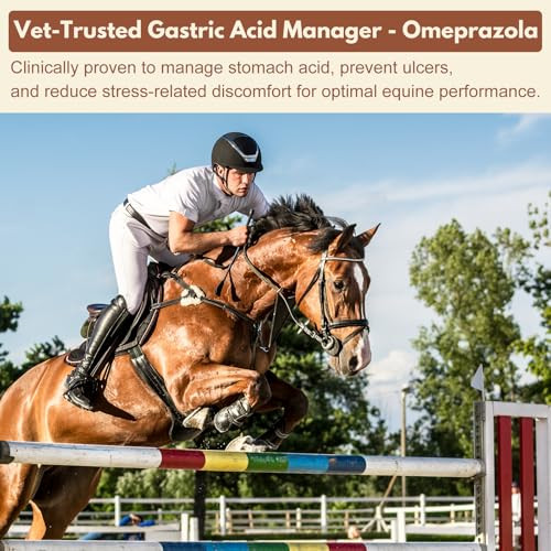 Netrca Omeprazole Oral Paste For Horses 9.5 G