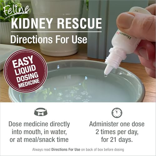 Homeopet Feline Kidney Rescue Safe And Natural Renal Supplement For Cats And 15 Milliliters