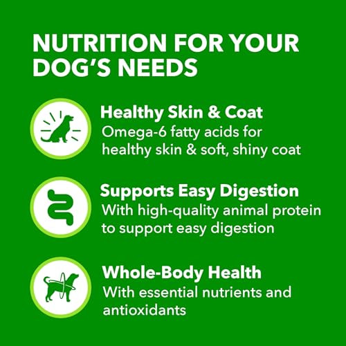 Iams Proactive Health Senior Wet Dog Food Classic Ground Dog Wet Food 13 Oz Pack Of 12