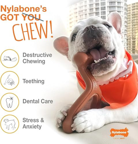 Nylabone 2 Pack Of Power Chew Extreme Chewing Braided Bully Stick Alternative 2 Pack