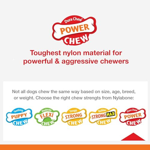 Nylabone 2 Pack Of Power Chew Extreme Chewing Braided Bully Stick Alternative 2 Pack