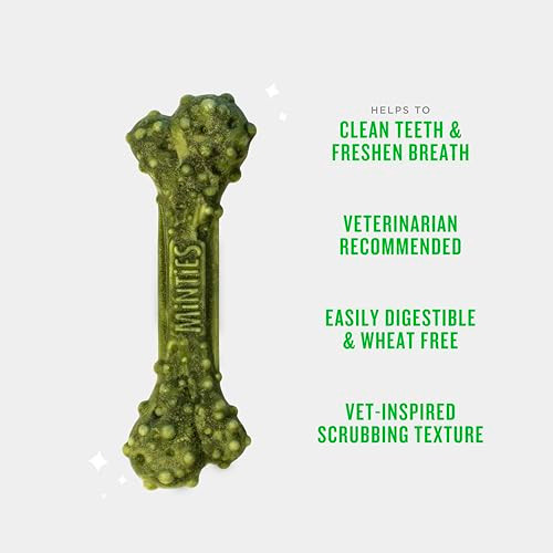 Minties Dental Chews For Dogs VetRecommended MintFlavored Dental Dog Treats For Medium 2550 Lbs 8 Count