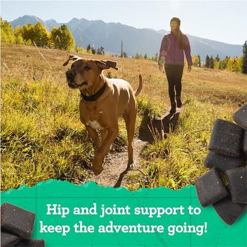Merrick Zuke's Hip And Joint Support Dog Treats For Adult Dogs Senior 16 Oz