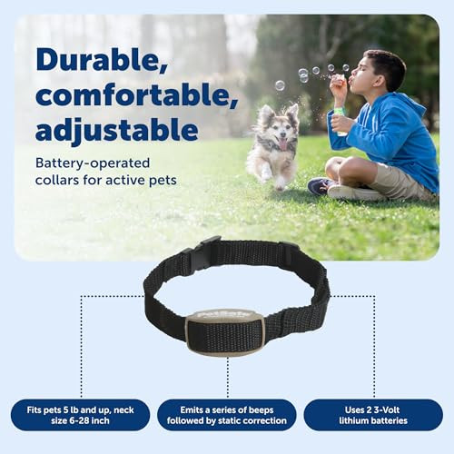Petsafe Pawz Away Indoor Wireless Pet Barrier Electric Training System For Dogs