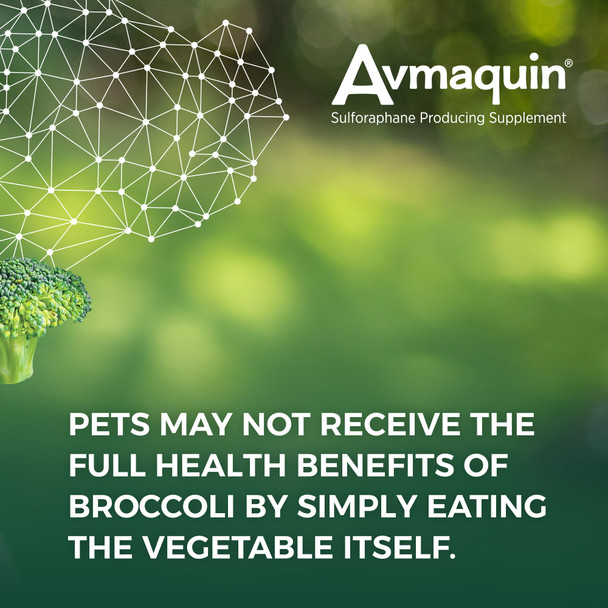 Nutramax Laboratories Avmaquin Sulforaphane Producing Supplement For Dogs 45 Tablets