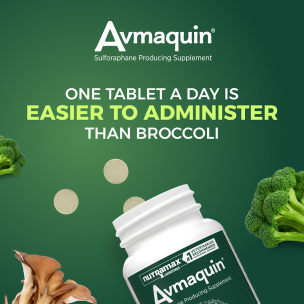 Nutramax Laboratories Avmaquin Sulforaphane Producing Supplement For Dogs 45 Tablets
