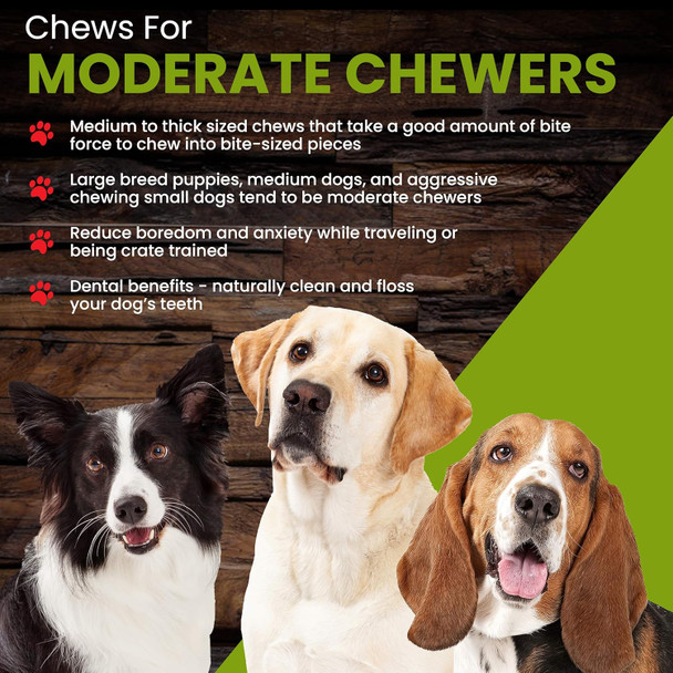 Sancho & Lola's 6-inch Thick Bully Sticks for Dogs (10 count) Grass-Fed -Range Grain- Beef Pizzle Dog Chew Sticks