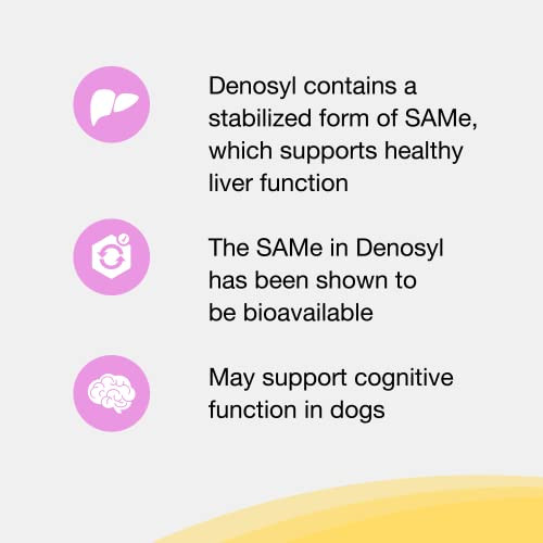 Nutramax Laboratories Denosyl Liver And Brain Health Supplement For Small Dogs And Cats 3 Pack