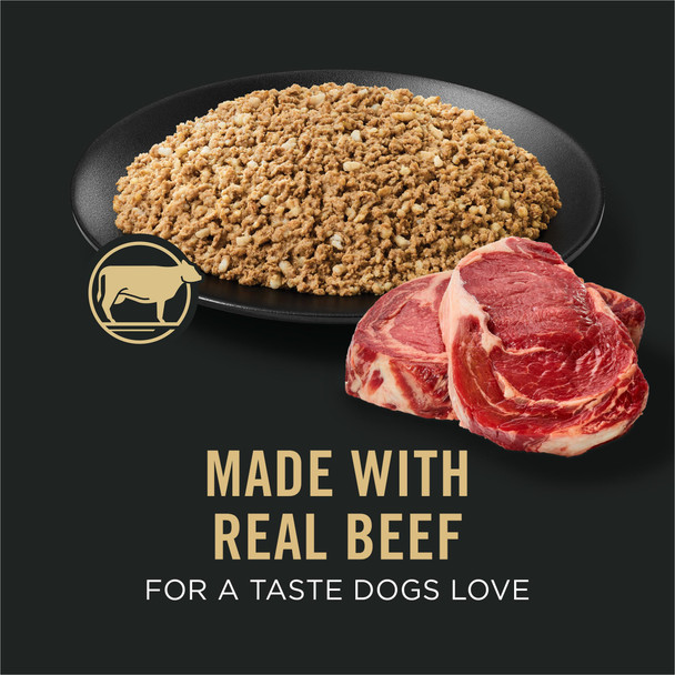 Purina Pro Plan Sensitive Skin And Stomach Dog Food Wet Classic Pate Beef And 13 Oz Pack Of 12