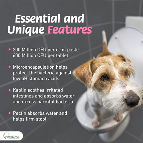 Propectalin Vetoquinol ProPectalin Oral Paste For Dogs & Cats