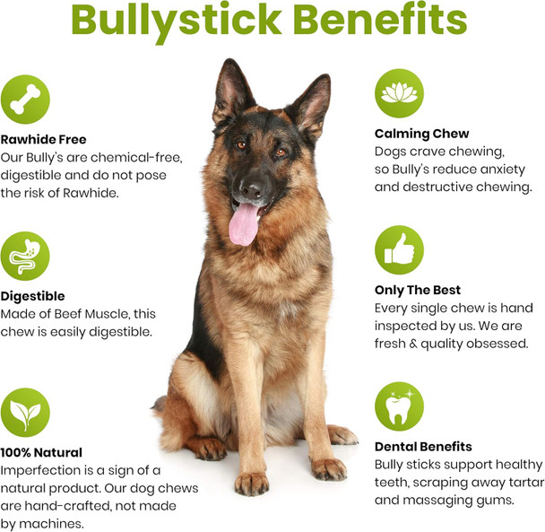 Sancho & Lola's Bully Sticks for Dogs 6-Inch Standard (5 count) Moderate Odor High-Protein Grain- Beef Pizzle Dog Chews