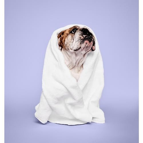 Paul Mitchell Pet Calming Lavender Mint Spray Conditioning Mist Grooming Spray For Dogs 8.5 Fl Oz