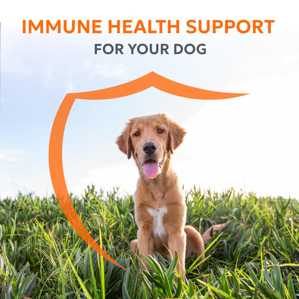 Nutramax Laboratories Imuquin Immune Health Supplement Powder For Dogs With Beta Glucans Marine 30 Pack