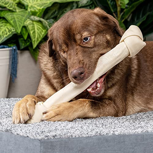 Pet Factory 100% Made In Usa Beefhide 1517" Knotted Bone Dog Chew Treat 1 Count