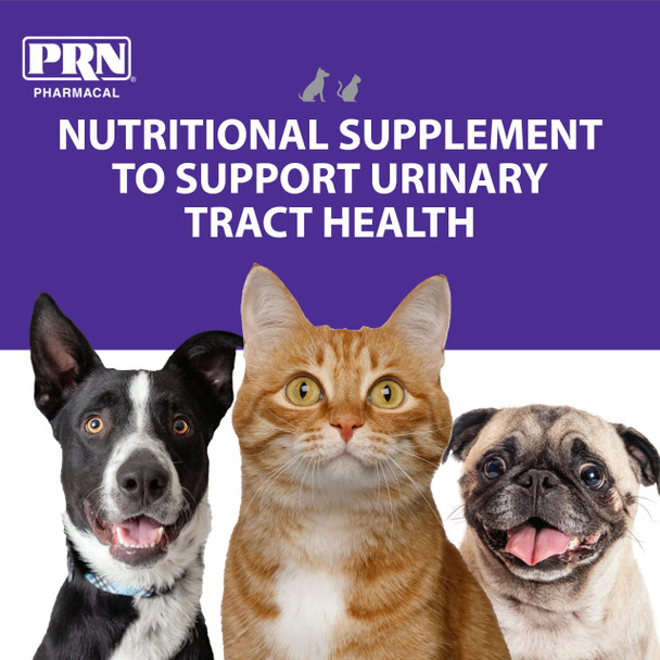 Prn Pharmacal Cranmate Cranberry Supplement Chewable Cranberry Extract Nutritional Supplements For Dogs 60 Count