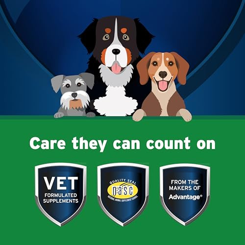 Pet Protect Digestive Health Supplement With Probiotics For Dogs VetFormulated Lactoquil ChickenFlavored Soft 60 Count