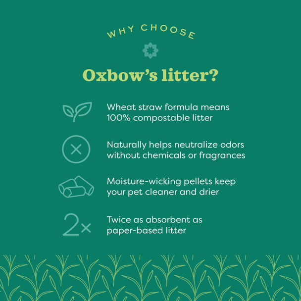 Oxbow Eco Straw Wheat Straw Litter For Small Animals Low Dust Rabbit 20 Lb