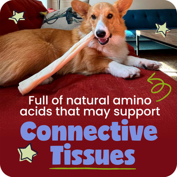 Pawstruck Natural Large Collagen Stick Barbells For Dogs VetApproved Long Lasting Chew 6 Pack