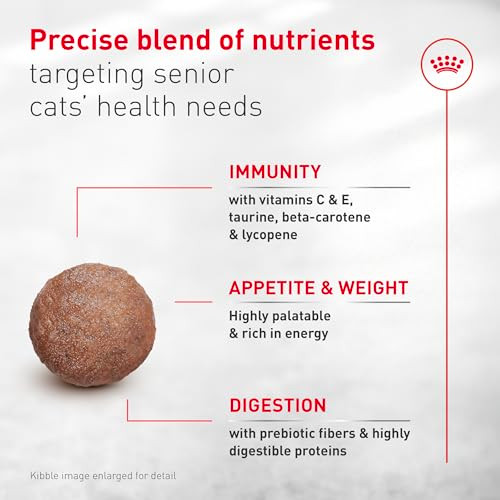 Royal Canin Feline Health Nutrition Aging 11+ Dry Cat Food For Seniors Kibble 6 Lb