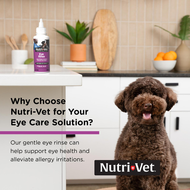 NutriVet NutriVet Eye Rinse For Dogs Dog Tear Stain Remover Eye Wash 4Oz