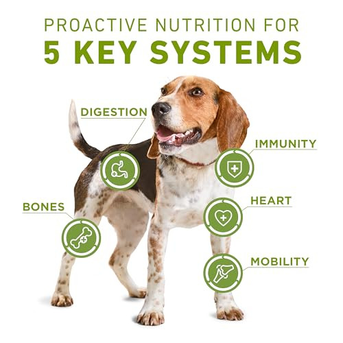 Purina One Plus Whole Body Support'with'chicken'dry Dog Food . Bag 16.5 Lb