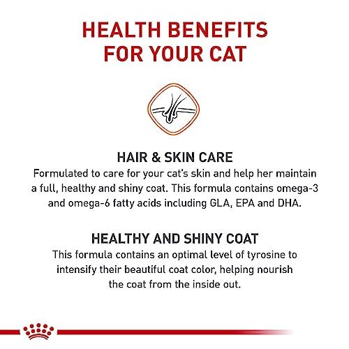 Royal Canin Feline Care Nutrition Hair & Skin Care Adult Dry Cat Food 3 Lb