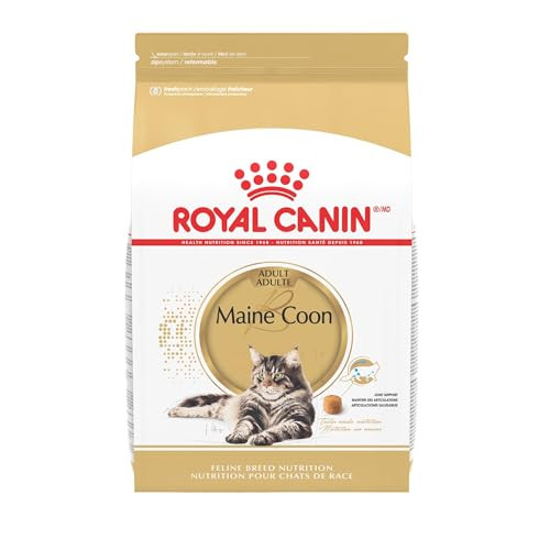 Royal Canin Feline Breed Nutrition Maine Coon Adult Dry Cat Food Bag 6 Lb