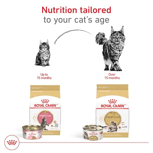 Royal Canin Feline Breed Nutrition Maine Coon Adult Dry Cat Food Bag 14 Lb
