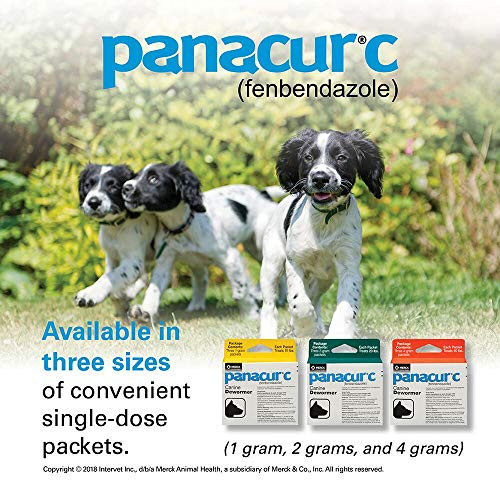 Panacur C Canine Dewormer (Fenbendazole) Yellow (Pack Of 1 1 Gram 3 Count