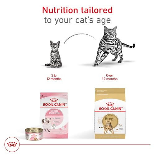 Royal Canin Feline Breed Nutrition Bengal Adult Dry Cat Food Bag 7 Lb