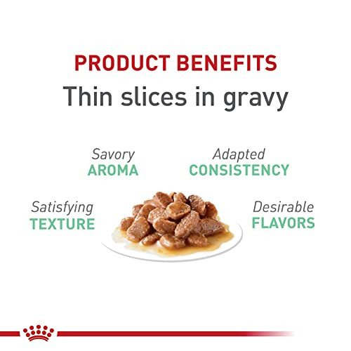 Royal Canin Feline Care Nutrition Digestive Care Adult Thin Slices In Gravy Cat 3 Oz Pack Of 6
