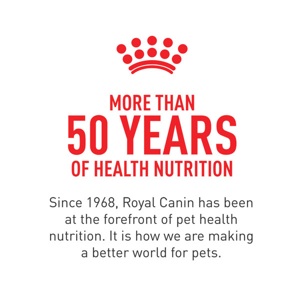 Royal Canin Feline Health Nutrition Fit And Active Adult Dry Cat Food Bag 3 Lb