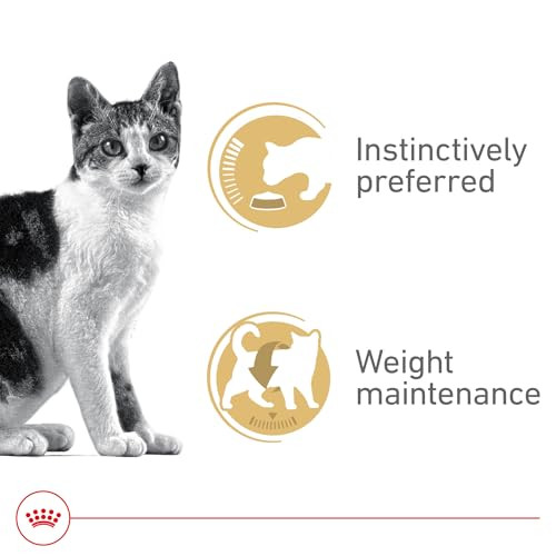 Royal Canin Feline Health Nutrition Adult Instinctive Adult Thin Slices In Gravy Cat 3 Oz Pack Of 24