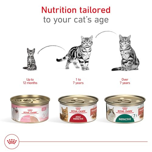 Royal Canin Feline Health Nutrition Adult Instinctive Adult Thin Slices In Gravy Cat 3 Oz Pack Of 24