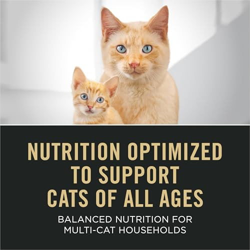 Purina Pro Plan High Protein Wet Cat Food Pate All Life Stages Classic Entree Variety Pack