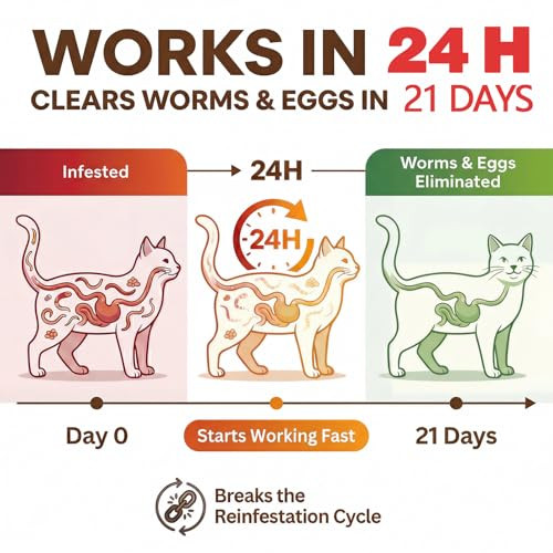 Poxo Tapeworm Dewormer For Cats & Kittens (6+ Weeks) Praziquantel Tablets Tapeworm 20 Count