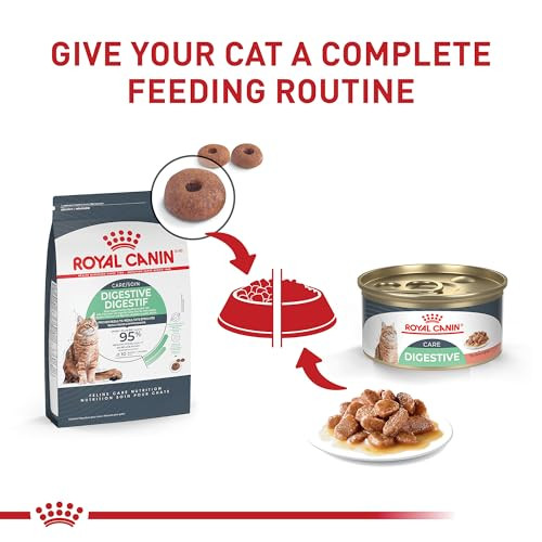 Royal Canin Feline Care Nutrition Digestive Care Adult Thin Slices In Gravy Cat 3 Oz Pack Of 24