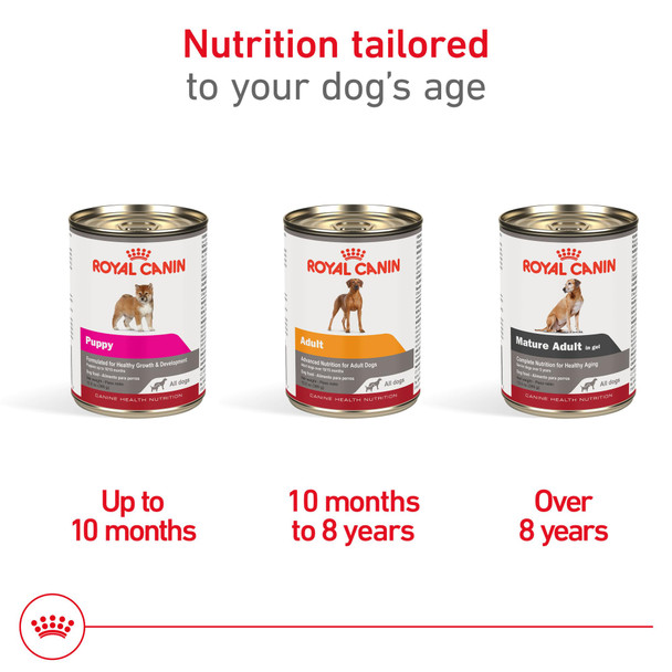 Royal Canin Canine Health Nutrition Mature Mature In Gel Dog Food (Pack Of 13.5 Oz Pack Of 12