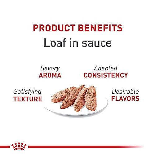 Royal Canin Feline Health Nutrition Adult Instinctive Adult Loaf In Sauce Cat Food 3 Oz Pack Of 24